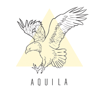 House-of-Aquila-e1479292161484-330x330-removebg-preview