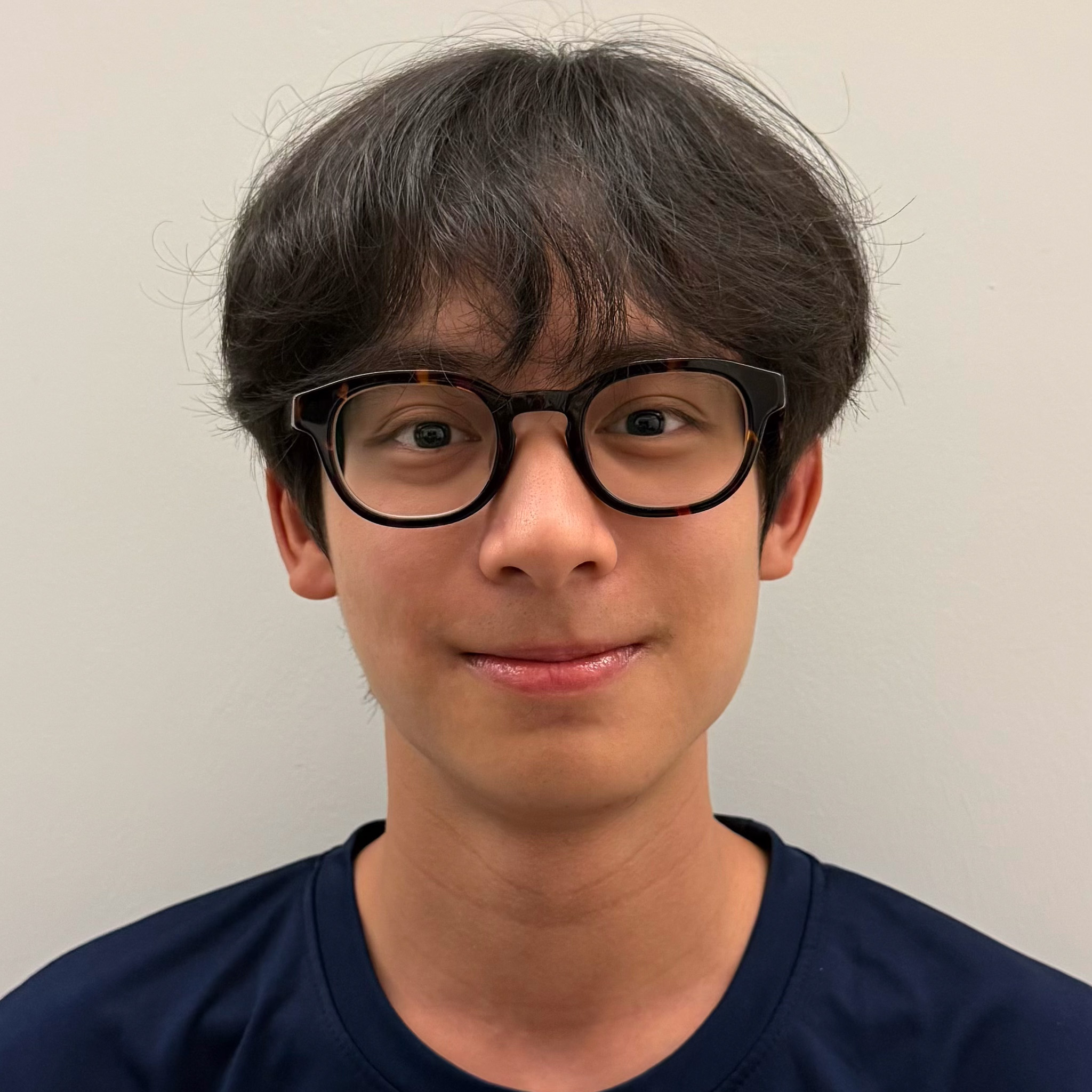 Brandon Ryan Irawan
<br><span class="title-fellow">Vice President (External)</span>