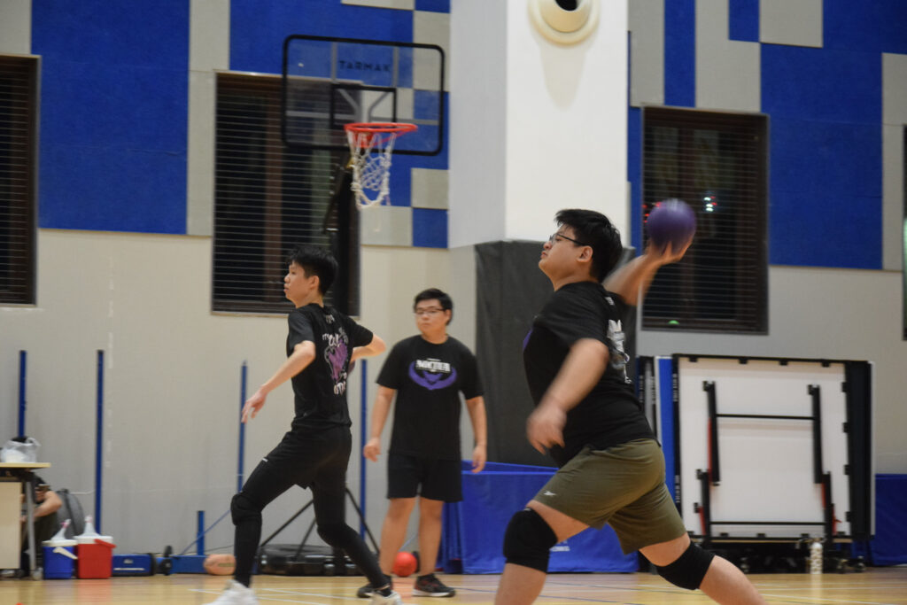 Annex Photo 4 - Dodgeball