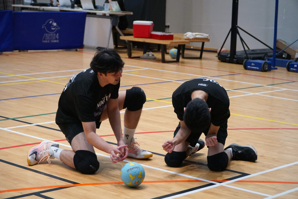 Annex Photo 6 - Tchoukball