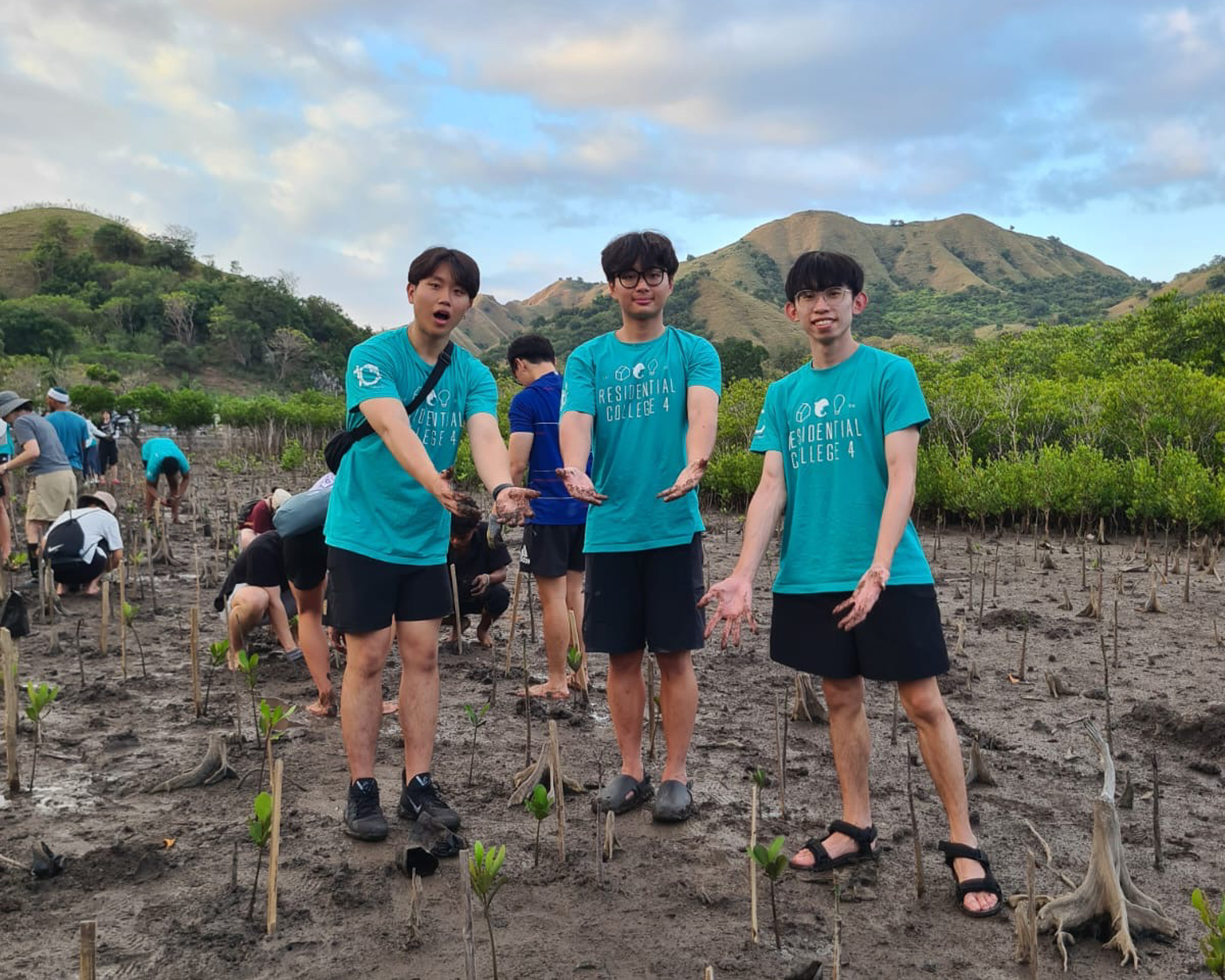 Mangrove Planting
